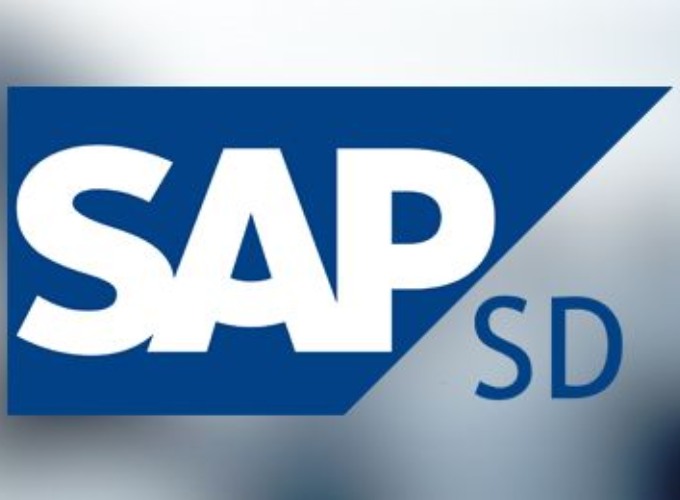  SAP SD Training With Placement in Gurgaon